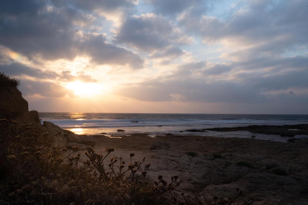 Presiada Heart Of Akko 아파트 외부 사진